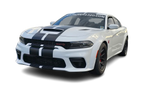 2015-2023 Dodge Charger Steel Neutral Strap/Release Cover Plate - Laser Cut, Painted, Authentic