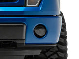 Photo - Close Up