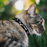 Breakaway Cat Collar with Bell - RAM Shield Logo/Bold Text Black/White