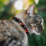 Cat Collar Breakaway - Dodge Stripes Demon Icon Black Red White