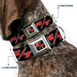 Dodge Challenger R/T Emblem Full Color Black/White/Red Seatbelt Buckle Collar - Dodge Challenger R/T Emblem Repeat Black/Blue/White/Red