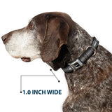 Barracuda Emblem Full Color Black/Silver Seatbelt Buckle Collar - Barracuda Emblem Repeat Gray Fade/Silver
