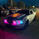 NTXGlow RTR Style RGB Grille (2013-2014 Ford Mustang)