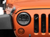Photo - Close Up